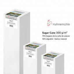PAPEL SUGAR CANE 300 g/m2