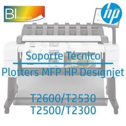 Mantenimiento/Diagnóstico...